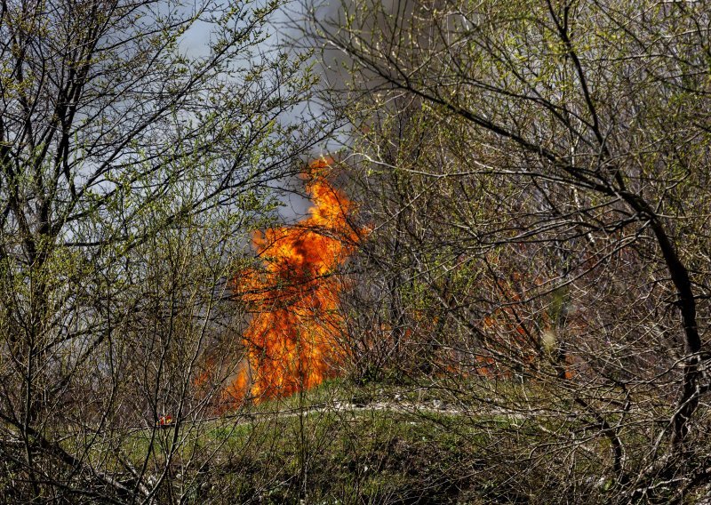 Požar prijeti kućama kod Livna, gori na desetine mjesta u Hercegovini