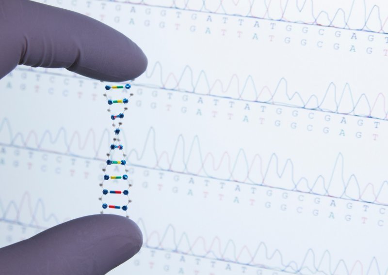 U potrazi za tajnama mutacija koje uzrokuju bolesti: Znanstvenici objavili prvi čitavi ljudski genom