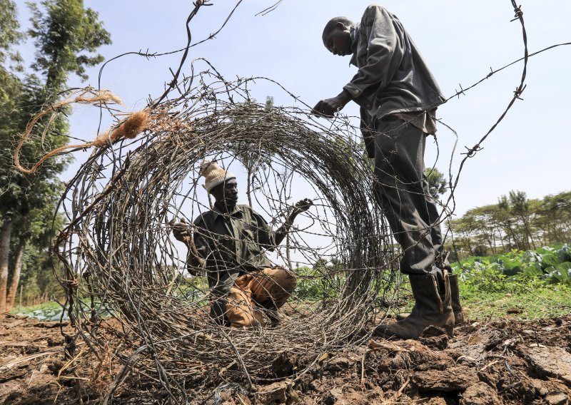 Rizik od gladi u Africi zbog sukoba, klimatskih promjena i cijena hrane