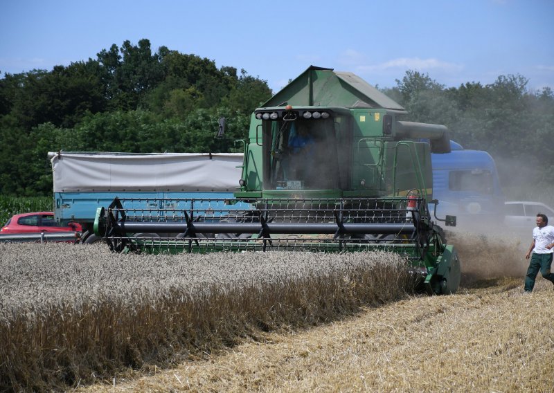 Zbog ruske blokade svijet ostaje bez 30 milijuna tona ukrajinske pšenice