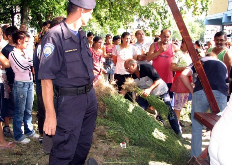 Osječanima 54 kazne zbog ambrozije