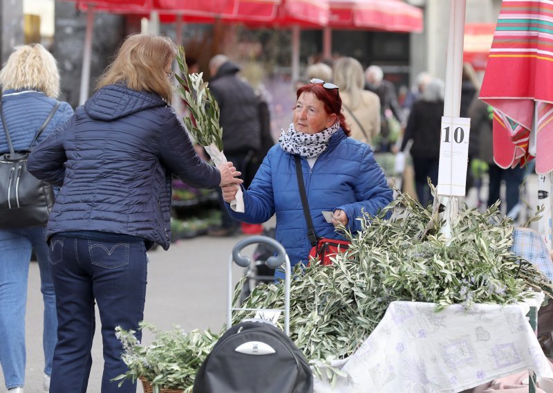 Prvi je dan Velikoga tjedna - Cvjetnica, zašto je ona važna za vjernike?