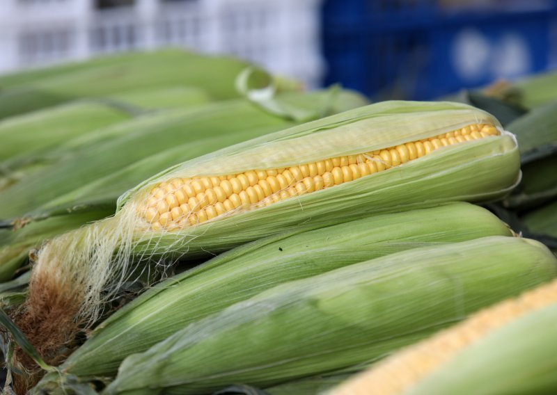 Ukrajina osjetno smanjuje izvoz kukuruza i suncokretovog ulja