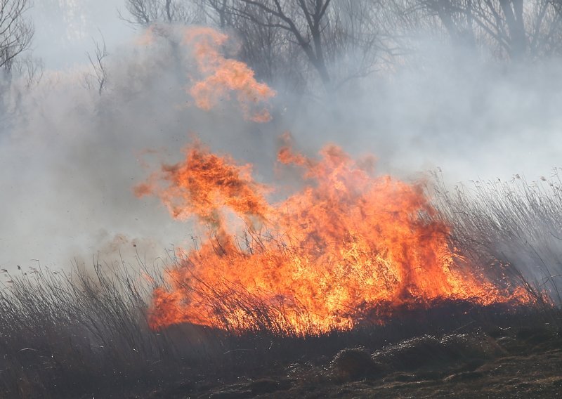 U požaru u omiškom zaleđu opožareno 15 hektara, vatrogasci dežurali cijelu noć