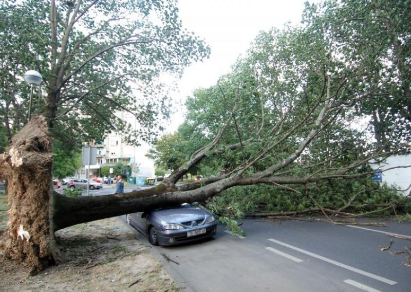 Vjetar u Zagrebu srušio 111 stabala, šteta 25.000 kuna