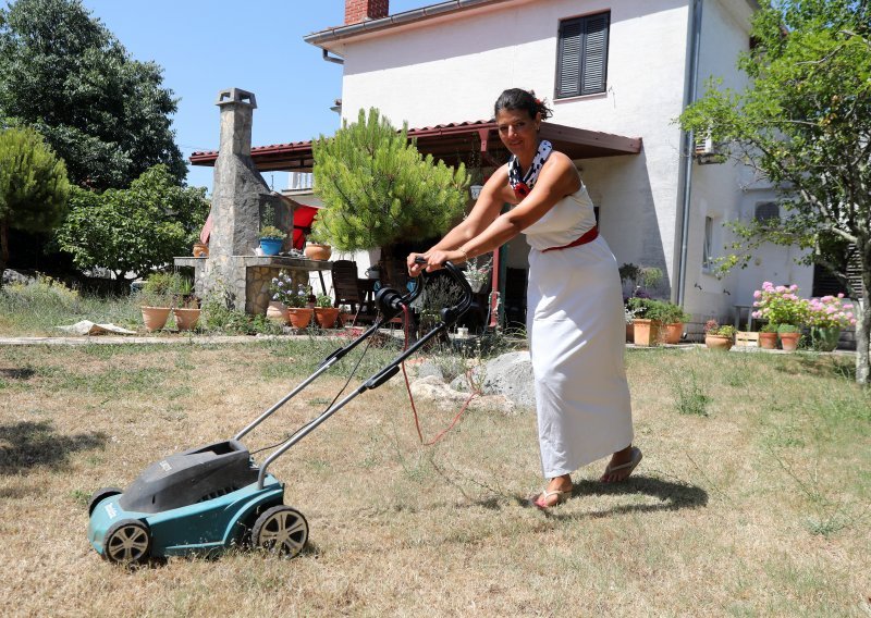 Nijemci solarnom energijom napajaju čak i štale, a Hrvatska sunce gotovo uopće ne koristi: 'Bolje je imati novac na krovu nego u banci'