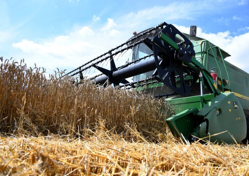 Rusko ministarstvo poljoprivrede predviđa izvoz od 50 milijuna tona žitarica, ako se ispune prognoze žetve