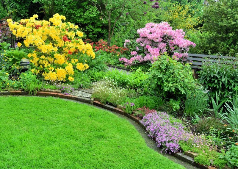 Svakom vrtu treba barem jedan žuti grm: 10 najljepših cvjetnih sorti u boji koja pršti optimizmom i kreira prizore za uživanje