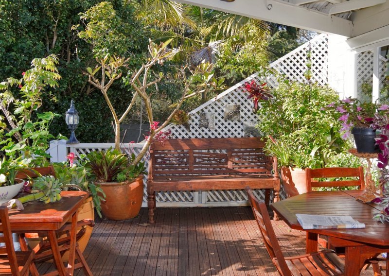 Za zelenu oazu ne morate nužno imati dvorište: Četiri jednostavna koraka za bajkovit vrt – na balkonu ili terasi
