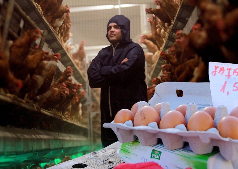 Hrvatska je u ratu proizvodila dovoljno jaja, a sad farmeri napuštaju biznis zbog golemih troškova i uvoza: 'Teška su vremena'