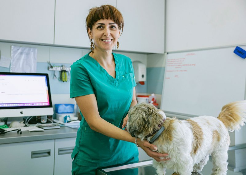 Razgovarali smo s veterinarkom o tome kako zaštititi ljubimce od opasnosti koje vrebaju tijekom ljetnih mjeseci