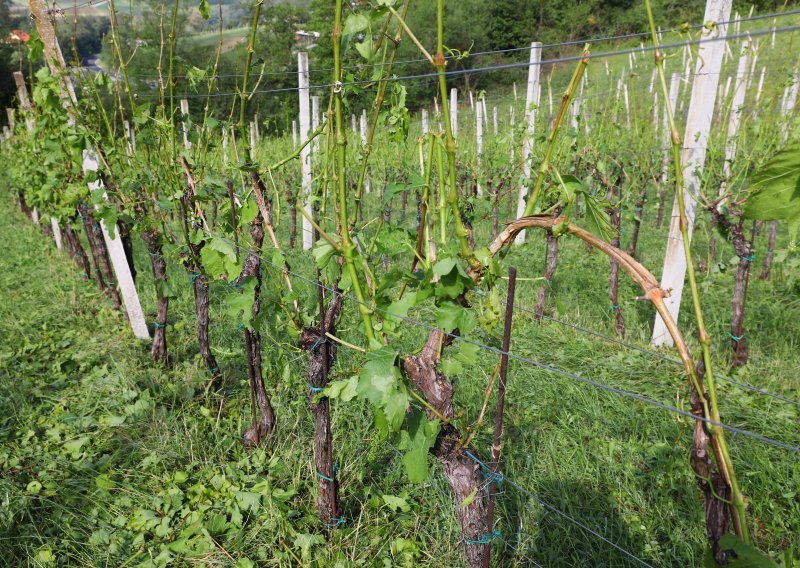 Kolar proglasio nepogodu za gradove Klanjec i Oroslavje te tri općine