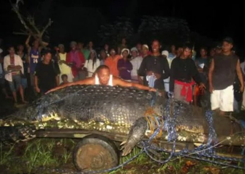 Filipinci ulovili divovskog krokodila teškog preko tone