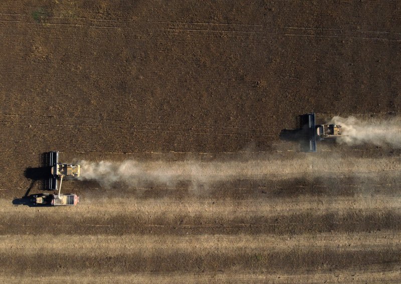 Cijena pšenice i dalje divlja: Ni najava deblokade ukrajinskih luka ne ublažava crne prognoze