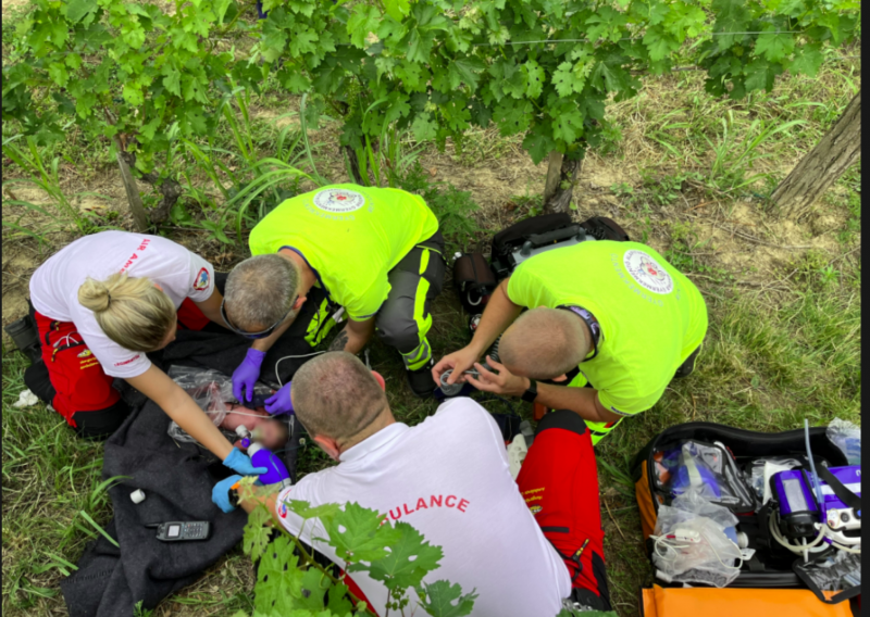 Hrvatica iz Baranje rodila bebu u vinogradu u Mađarskoj i tamo ju ostavila