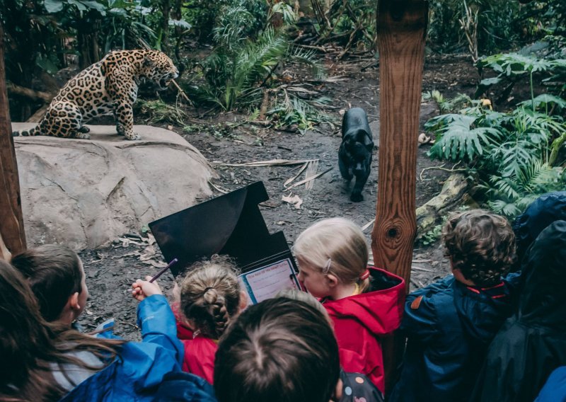 Britanski Zoo čuva DNK životinja koje bi mogle izumrijeti