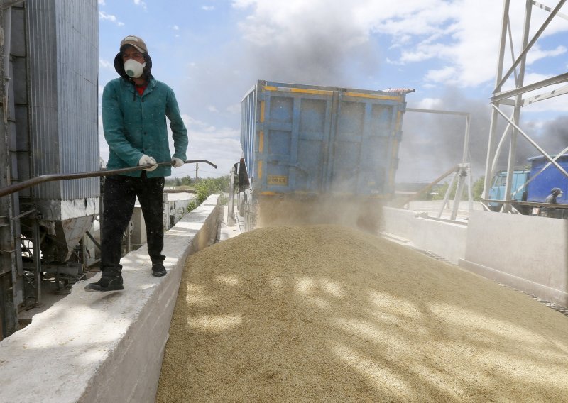 Ukrajina ima novi plan za izvoz žitarica i zaobilaženje ruske blokade