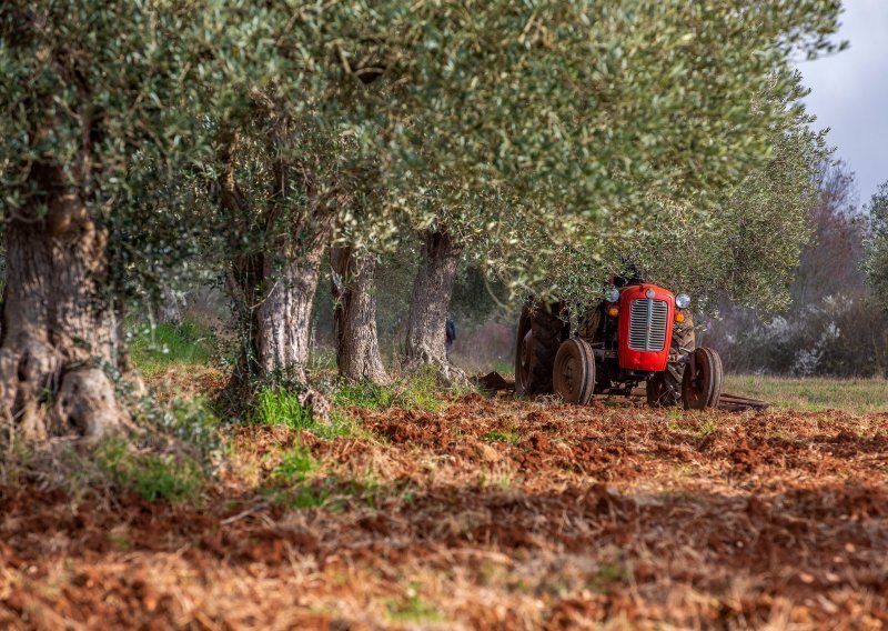 Nesreća u Međimurju: Zanio se traktor, vozač pao i poginuo