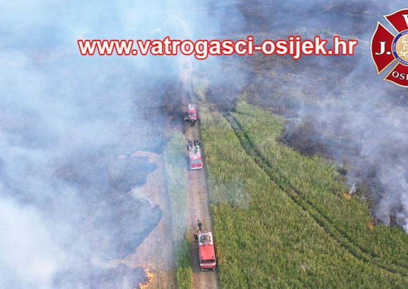 Opet gori u Kopačkom ritu; na teren izišli osječki i baranjski vatrogasci