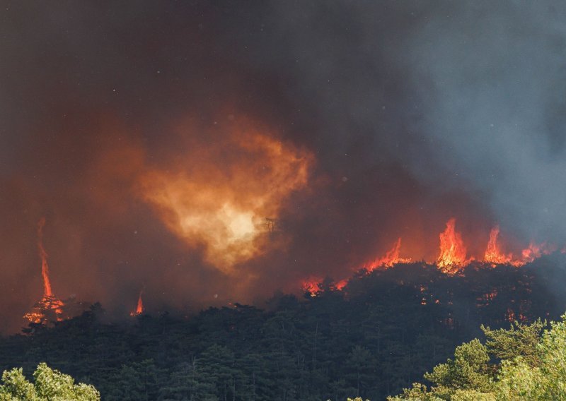 [FOTO/VIDEO] Požar u Sloveniji ponovno se razbuktao: 'Stanje je očajno, plamen je tri puta viši od borova, sve je u dimu i vrlo blizu kuća'