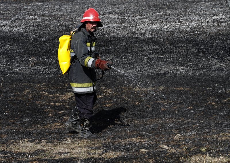 Odbacivanje gorive tvari uzrok požara u Kopačkom ritu