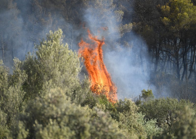 Lokaliziran požar kod Muća, izgorjelo 30 hektara niskog raslinja
