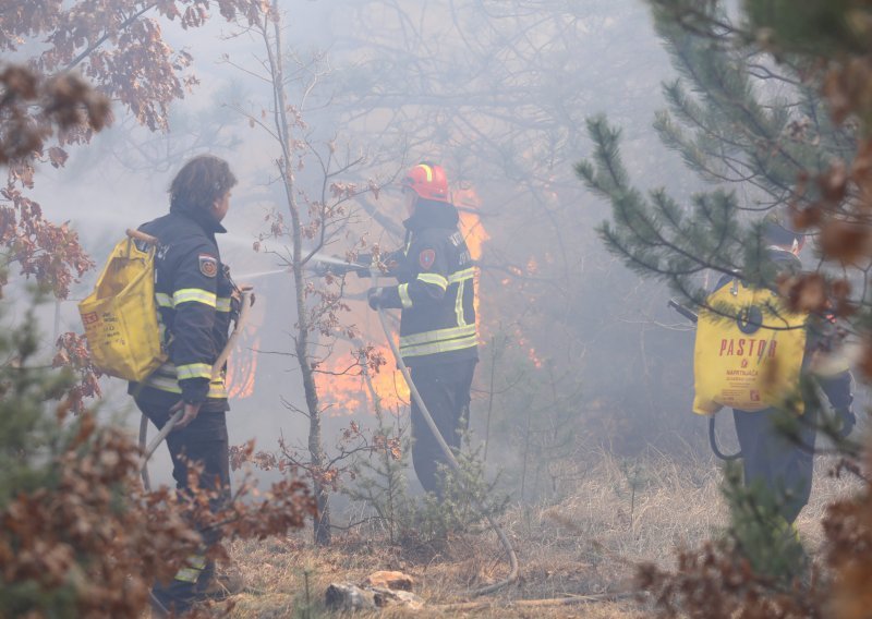 Požar na Ravči pod nadzorom, izgorjelo 4 hektara borove šume