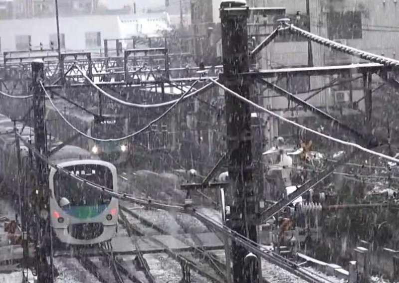 U Tokiju pao snijeg u studenom prvi put u 54 godine
