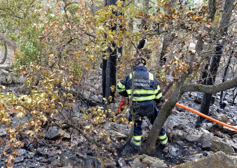 Požari na Dugom otoku i Velebitu pod nadzorom, vikendice obranjene