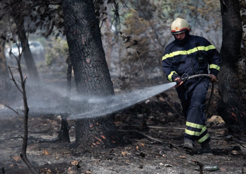 Vatrene stihije u Dalmaciji sve su češće: Je li alepski bor glavni krivac za požare?
