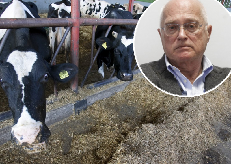 'Došlo je do malog raspada sustava jer neke proizvođače vodi pohlepa. Pa ne idu krave na dizel!'