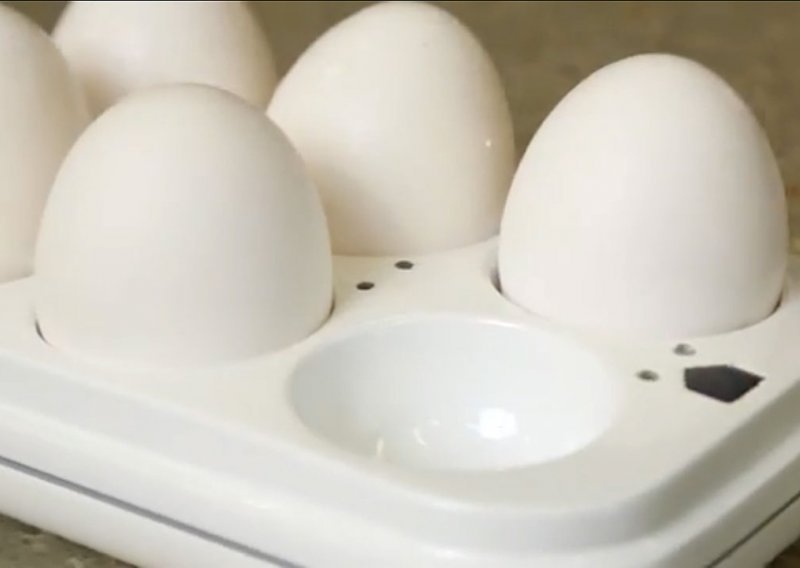 Egg Minder pazi na vaša jaja