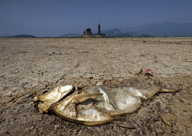 Glavni tajnik UN-a upozorio: 'Nijedna ekonomija nije pošteđena klimatske krize'