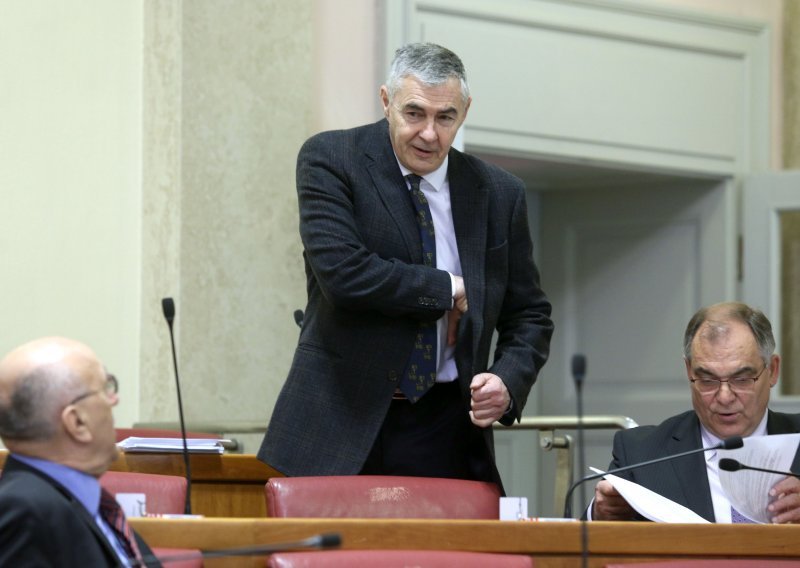 Glasnović: Ne želim biti fikus interesnim skupinama