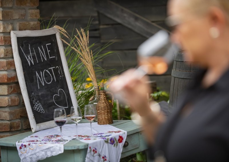 Slavonija i Podravina, wine not!? Sve je spremno za mjesec dana čistog hedonizma