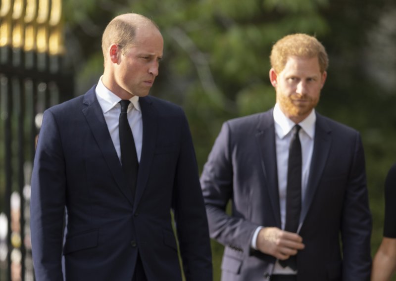 Zašto je princ Harry odbio Williamov poziv na tajni sastanak?