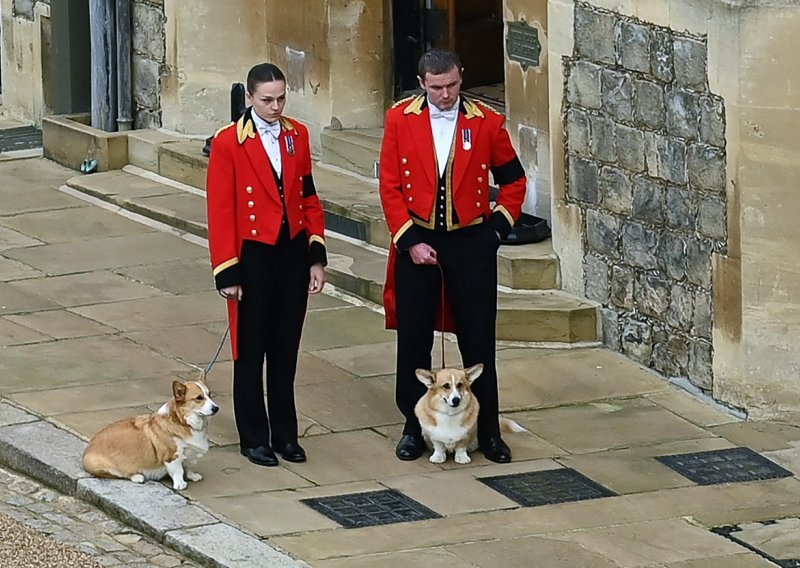 [FOTO] Prizor koji je jučer sve raznježio: Kraljičini korgiji ispred dvorca Windsora ispratili svoju gazdaricu