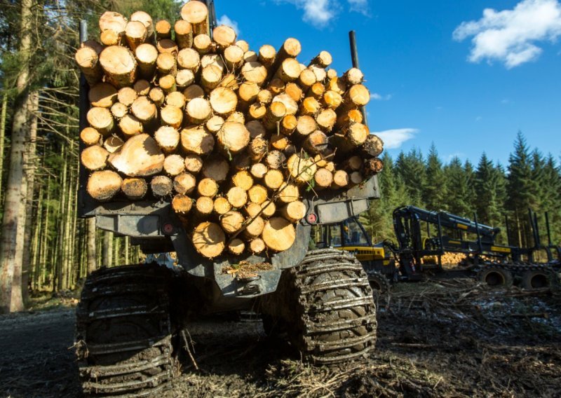 Cijena drva za ogrjev i peleta u Njemačkoj odletjele u nebesa