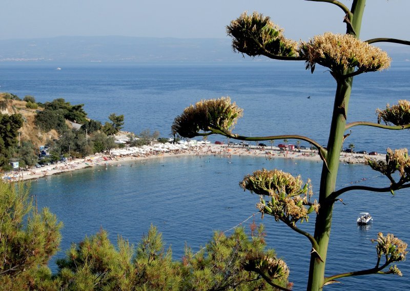 Preminula Britanka koju je ovog ljeta na Kašjunima udario grom