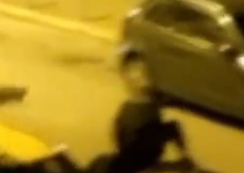 [VIDEO] Torcida objavila snimku policijskog batinanja navijača