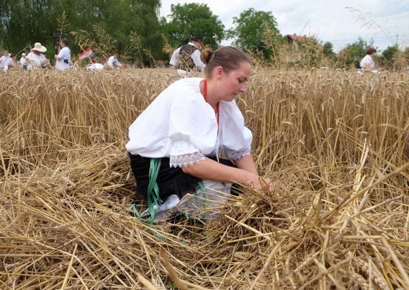 Ruralne Europljanke: Žene vlasnice 50.000 OPG-ova u Hrvatskoj, ograničen pristup zemljištu i depopulacija najveći izazovi