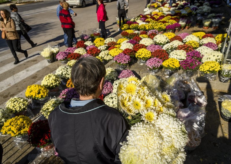 Svi sveti pod inflacijom: Cvijeće za grobove skuplje 20 do 30 posto