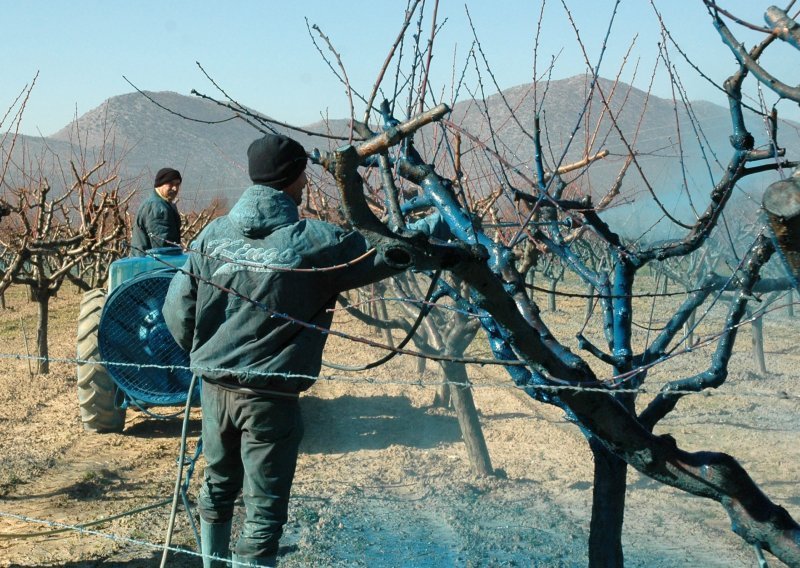 Hrvatski stručnjaci razbijaju mit: Smanjenje pesticida nije ekonomski štetno! 'To je kao da govorimo o održivoj upotrebi heroina'