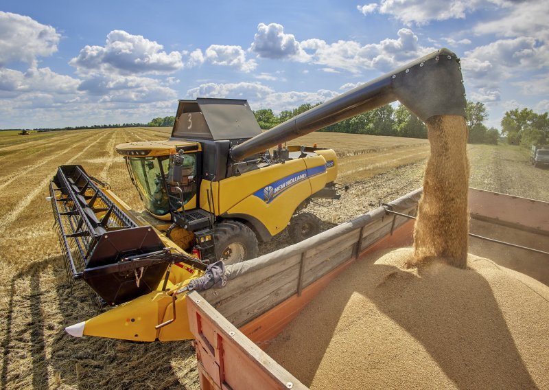 Francuska radi na kopnenim rutama za izvoz ukrajinskih žitarica