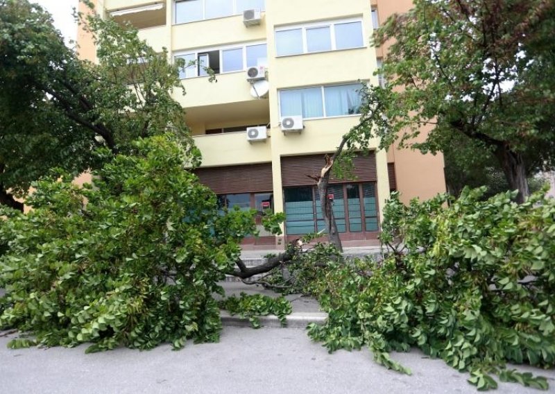 Bura lomila stabla, planuli i novi požari