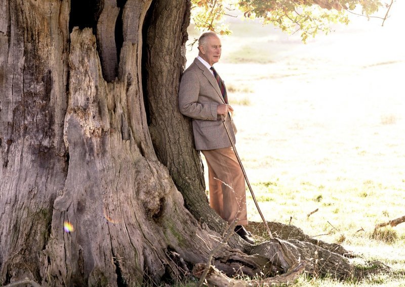 Odluka kralja Charlesa III da sina zamijeni bratom i sestrom zapravo je bio javni prijekor za princa Harryja, no taj potez bio je neophodan