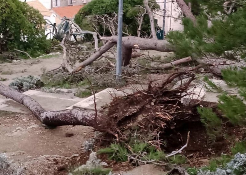Nevrijeme protutnjalo Dubrovnikom: Porušenog drveća na sve strane, odroni na magistrali