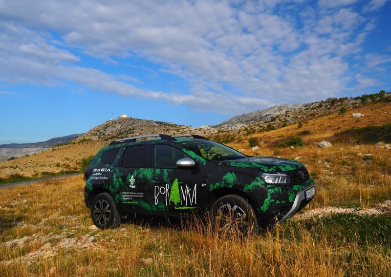 [FOTO] SUV Dacia Duster i Boranka u akciji pošumljavanja požarišta u Dalmaciji