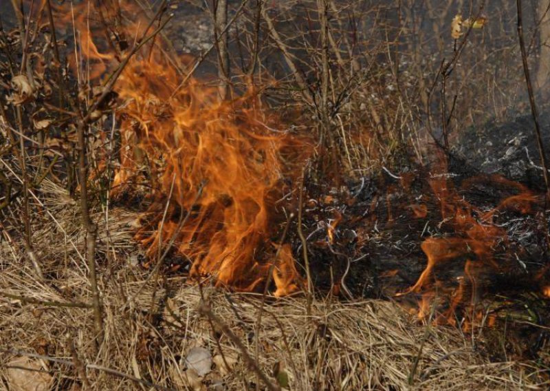 Otac i sin ozlijeđeni pri paljenju suhe trave