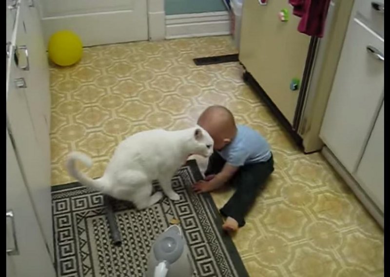 Gluhi mačak obožava svog dječaka